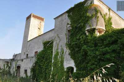 Alla scoperta di Lucignano, il sito medievale che si trova all'interno di una fabbrica
